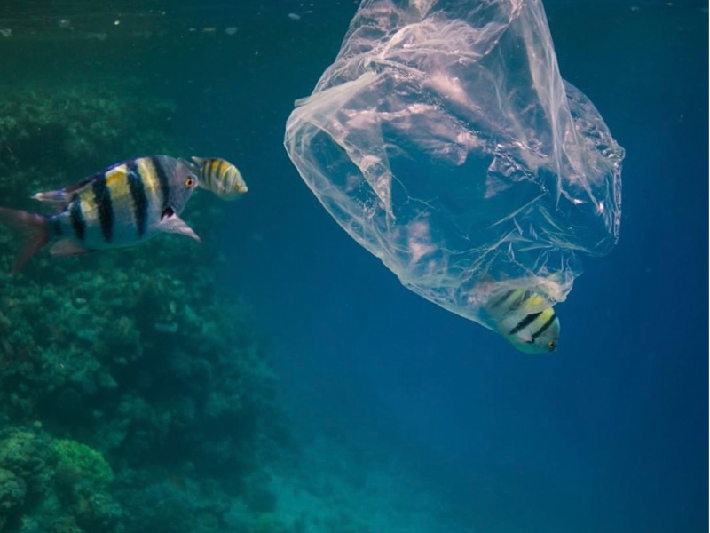 Η ΦΙΛΟΣΟΦΙΑ ΤΟΥ “THE CREATIVE ROOM VEGAN CONCEPT STORE”